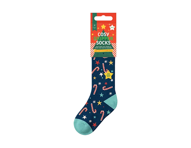 Boys Novelty Cosy Socks with Grippers