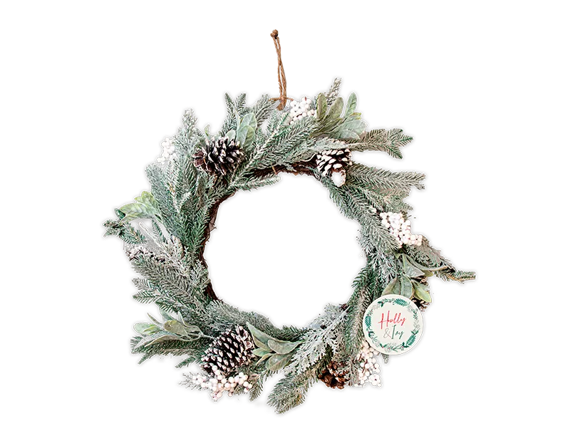 Frosted Wreath 55cm