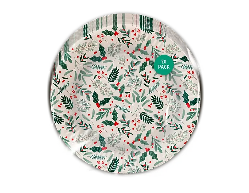 Christmas Printed Paper Plates 20pk