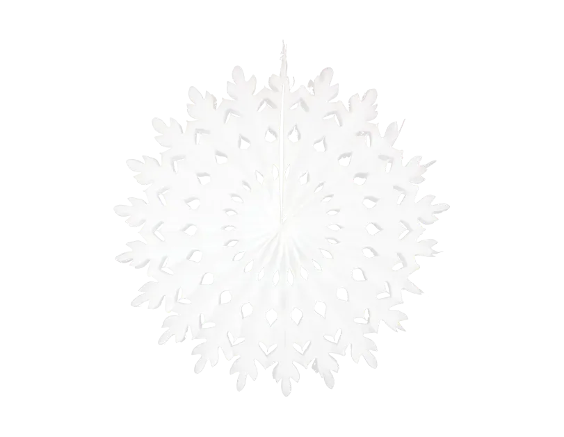 Xmas Paper Snowflake Decoration